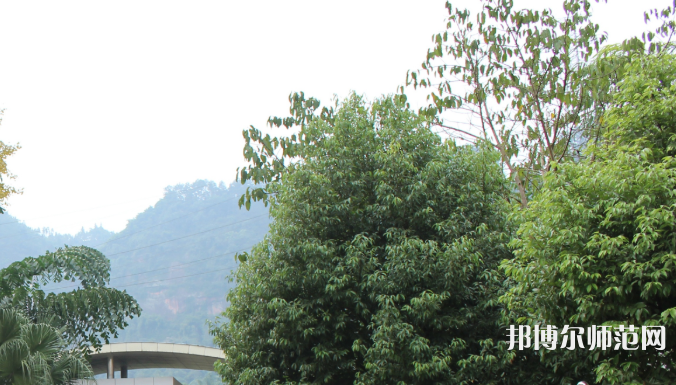 自貢大安幼師職業(yè)技術(shù)學(xué)校2023年學(xué)費(fèi)、收費(fèi)多少