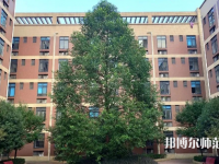 四川師范大學(xué)成都學(xué)院眉山校區(qū)2023年怎么樣、好不好