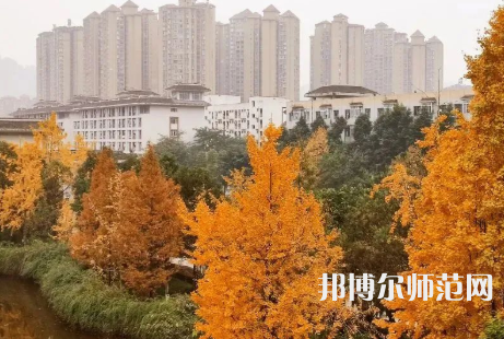 雅安職業(yè)技術師范學院2023年怎么樣、好不好