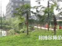 2023年瀘州天宇幼師中等職業(yè)技術(shù)學(xué)校報名條件、招生對象